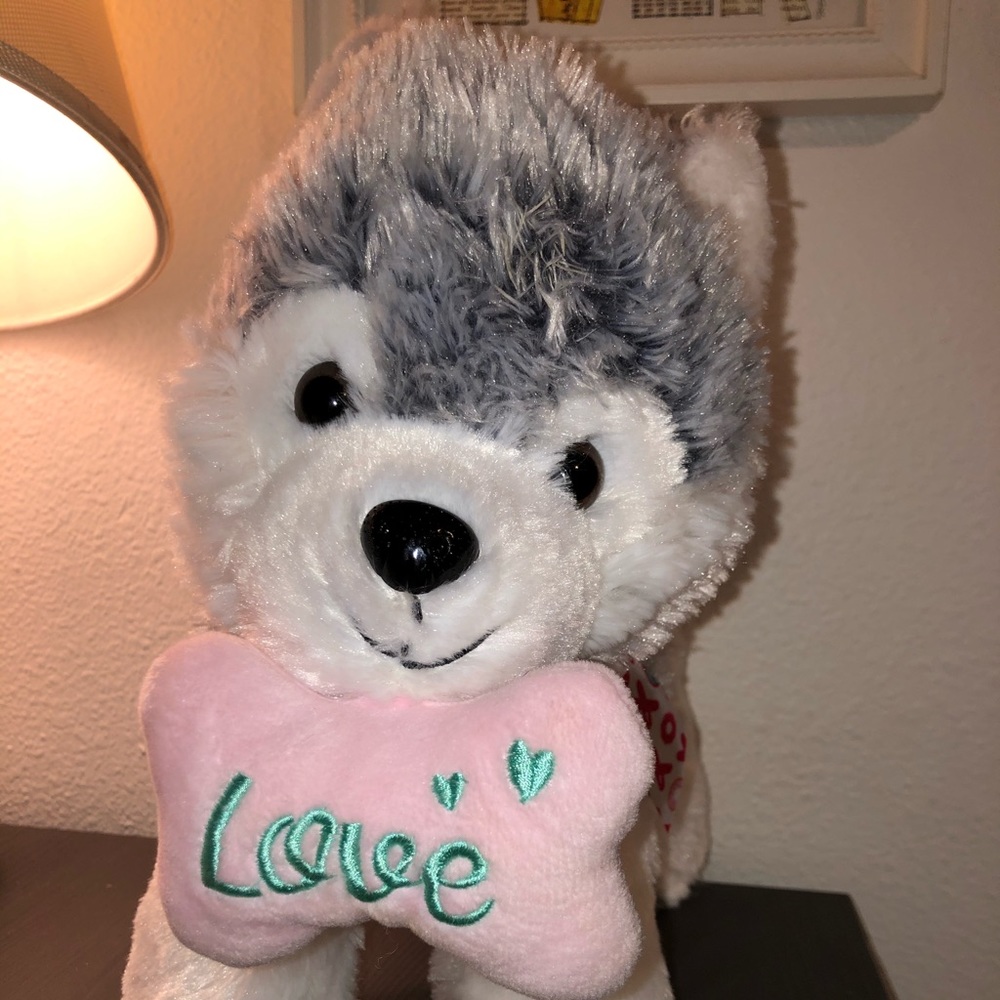 Stuffed Dog